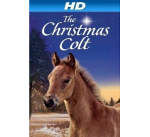Рождественский жеребёнок (2013)
