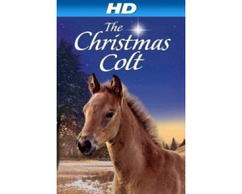 Рождественский жеребёнок  (фильм 2013) смотреть онлайн