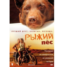Рыжий пес (2011)