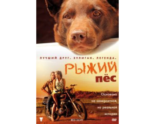 Рыжий пес  (фильм 2011) смотреть онлайн