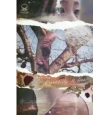 С сожалением на рассвете (2024)