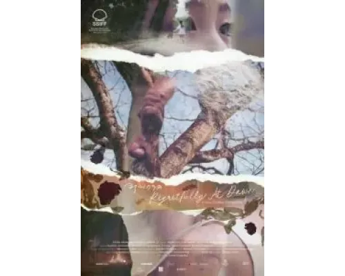 С сожалением на рассвете  (фильм 2024) смотреть онлайн