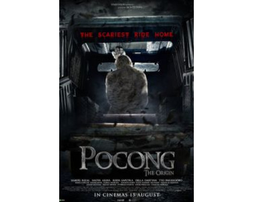 Саван призрака. Начало  (фильм 2019) смотреть онлайн