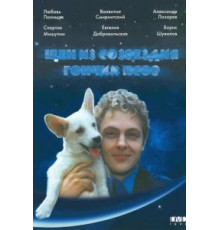 Щен из созвездия «Гончих псов» (1991)