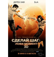 Сделай шаг: Лови момент (2013)