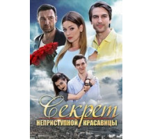 Секрет неприступной красавицы (2017)