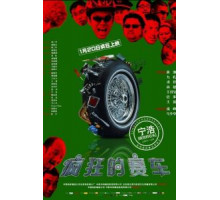 Серебряный медалист (2009)