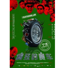 Серебряный медалист (2009)