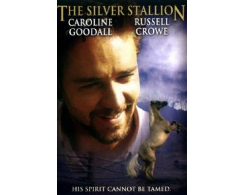 Серебряный ветер  (фильм 1993) смотреть онлайн