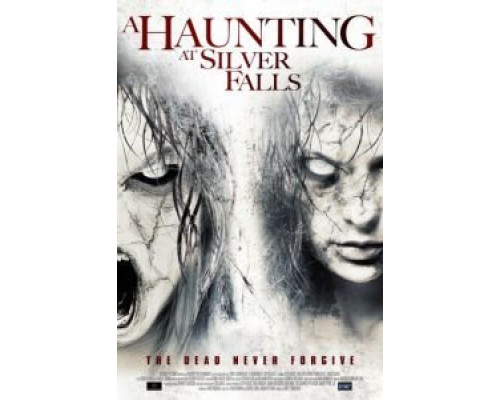 Серебряный водопад  (фильм 2013) смотреть онлайн