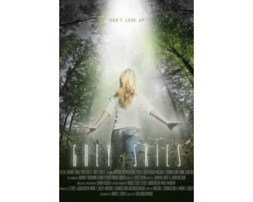 Серые небеса  (фильм 2010) смотреть онлайн