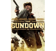 Шальная пуля (2011)