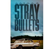 Шальные пули (2016)