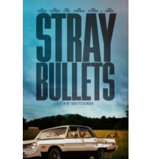 Шальные пули (2016)