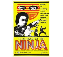 Шаолинь вызывает ниндзя (1978)