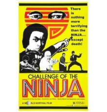 Шаолинь вызывает ниндзя (1978)