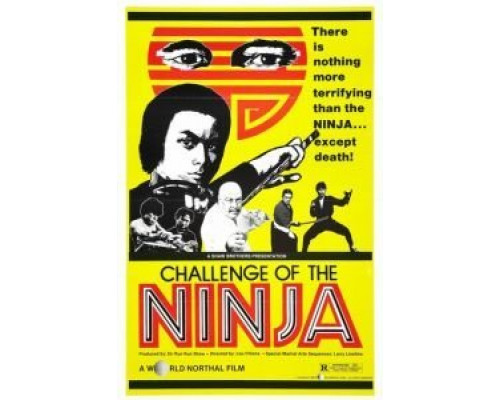 Шаолинь вызывает ниндзя  (фильм 1978) смотреть онлайн