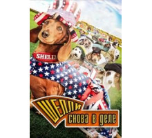 Шелли снова в деле (2015)