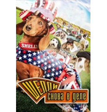 Шелли снова в деле (2015)