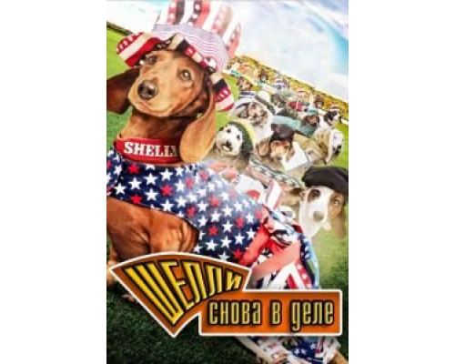 Шелли снова в деле  (фильм 2015) смотреть онлайн