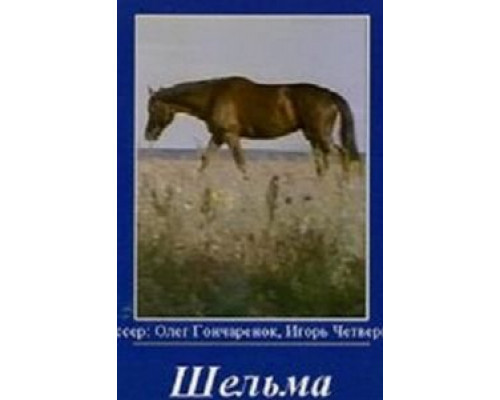 Шельма  (фильм 1996) смотреть онлайн