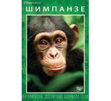 Шимпанзе (2012)