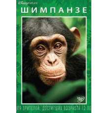 Шимпанзе (2012)