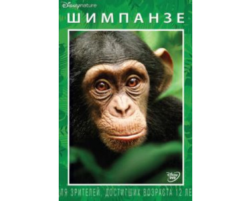 Шимпанзе  (фильм 2012) смотреть онлайн
