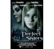 Школьный проект (2013)