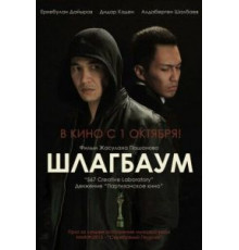 Шлагбаум (2015)