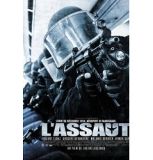 Штурм (2010)