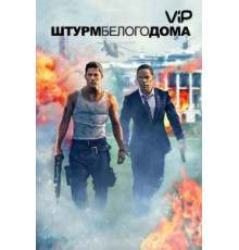 Штурм Белого дома (2013)