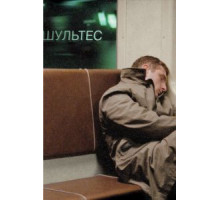 Шультес (2008)