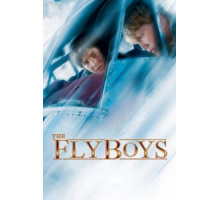 Схватка в небе (2008)