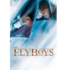 Схватка в небе (2008)