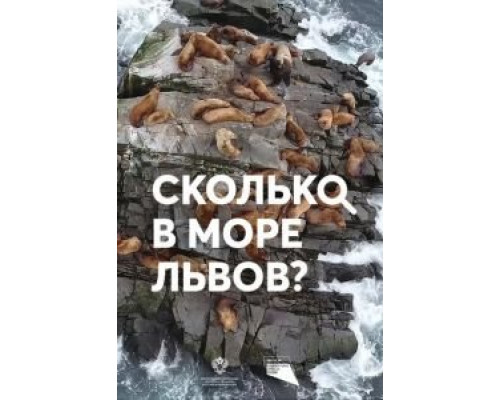 Сколько в море львов?  (фильм 2018) смотреть онлайн