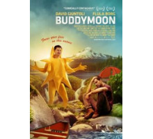 Сладкая парочка (2016)