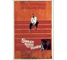 Сладкоголосая птица юности (1962)