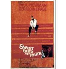 Сладкоголосая птица юности (1962)