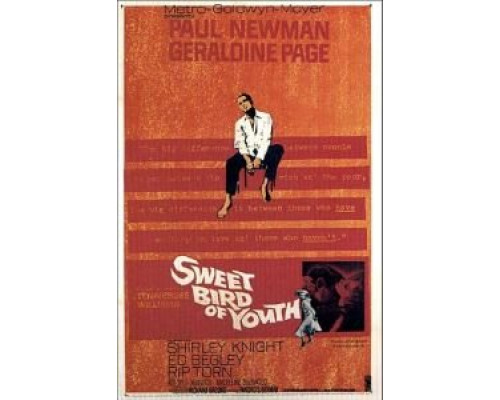 Сладкоголосая птица юности  (фильм 1962) смотреть онлайн