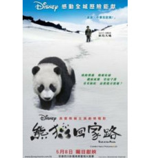 След панды (2009)