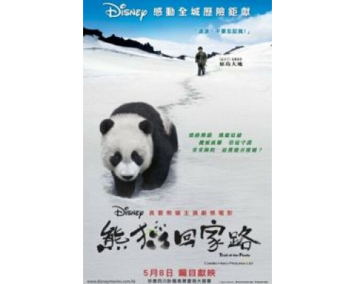 След панды  (фильм 2009) смотреть онлайн