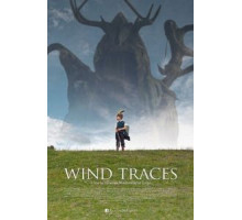 Следы ветра (2017)