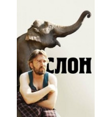 Слон (2010)