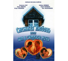 Снежная любовь, или Сон в зимнюю ночь (2003)