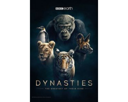 Собачник  (фильм 2021) смотреть онлайн