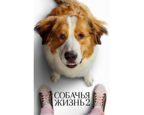 Собачья жизнь 2  (фильм 2019) смотреть онлайн