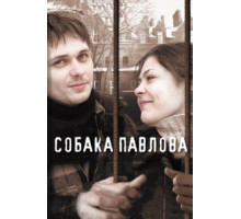 Собака Павлова (2005)