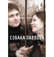 Собака Павлова (2005)