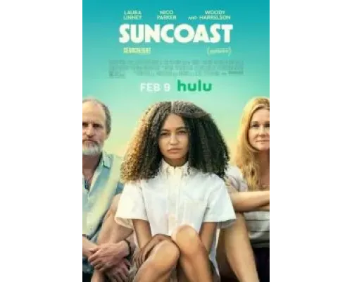 Солнечное побережье  (фильм 2024) смотреть онлайн